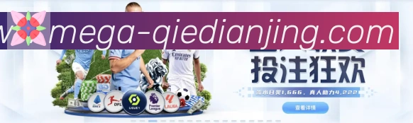 奖项证书